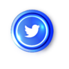 icona_twitter_vivinuovo